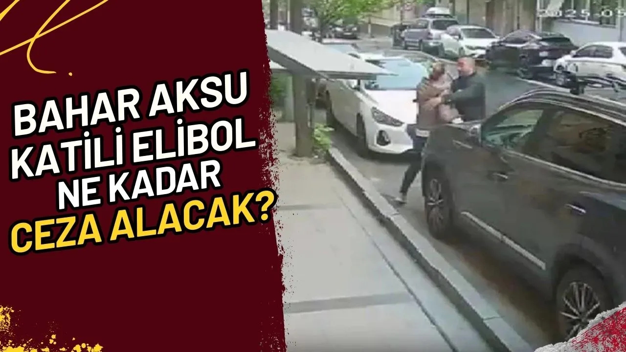 Bahar Aksu Katili Elibol Ne Kadar Ceza Alacak?