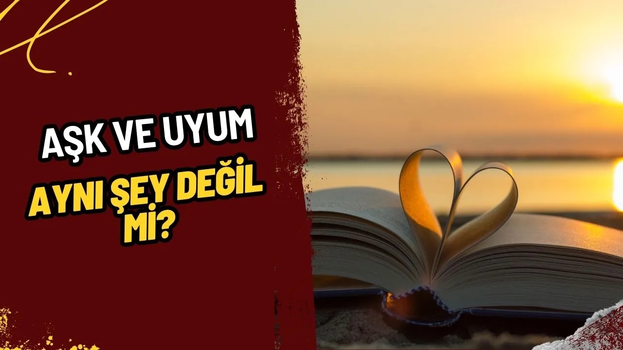 Aşk ve Uyum Aynı Şey Değil mi? İlişkilerdeki En Büyük Yanılgılardan Biri