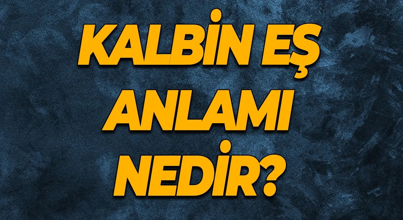 Kalbin Eş Anlamı Nedir? Bu Kelimeler Kalbin Eş Anlamlısı Olarak Kullanılıyor