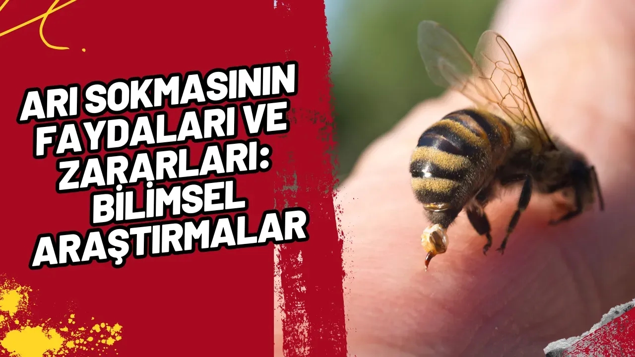 Arı Sokmasının Faydaları ve Zararları: Bilimsel Araştırmalar Ne Diyor?