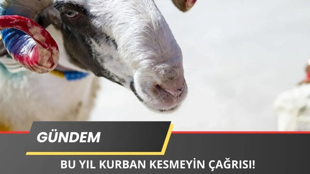 'Bu Yıl Kurban Kesmeyin" Çağrısı Yapıldı!