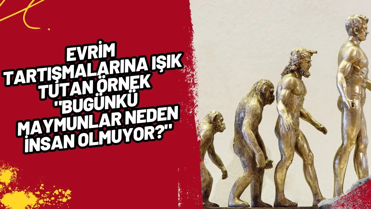 Evrim Tartışmalarına Işık Tutan Örnek
