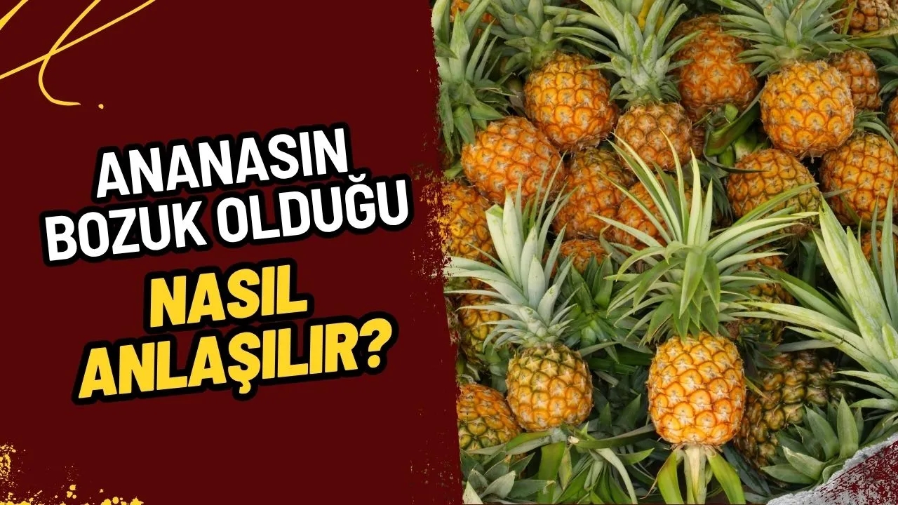 Ananasın Bozuk Olduğu Nasıl Anlaşılır? Mükemmel Ananas Seçimi ve Saklama Tüyoları!