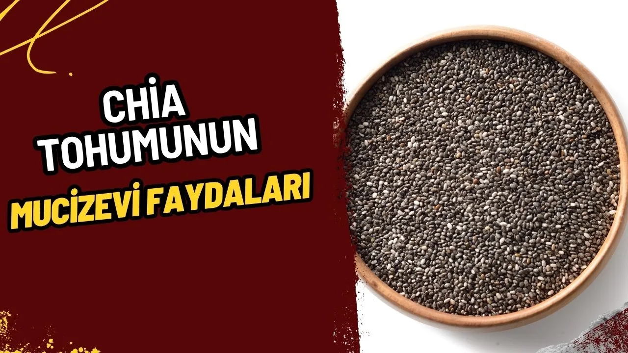 Chia Tohumunun Mucizevi Faydaları: Neden Beslenmenizin Vazgeçilmezi Olmalı?