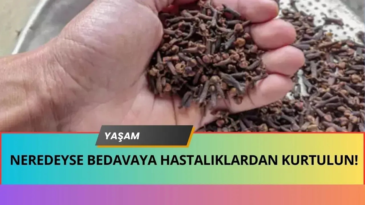 Kış Bitmeden Faturalar Azalmadan Bunu Yapın! Peteklere Koyan Hasta Olmuyor!