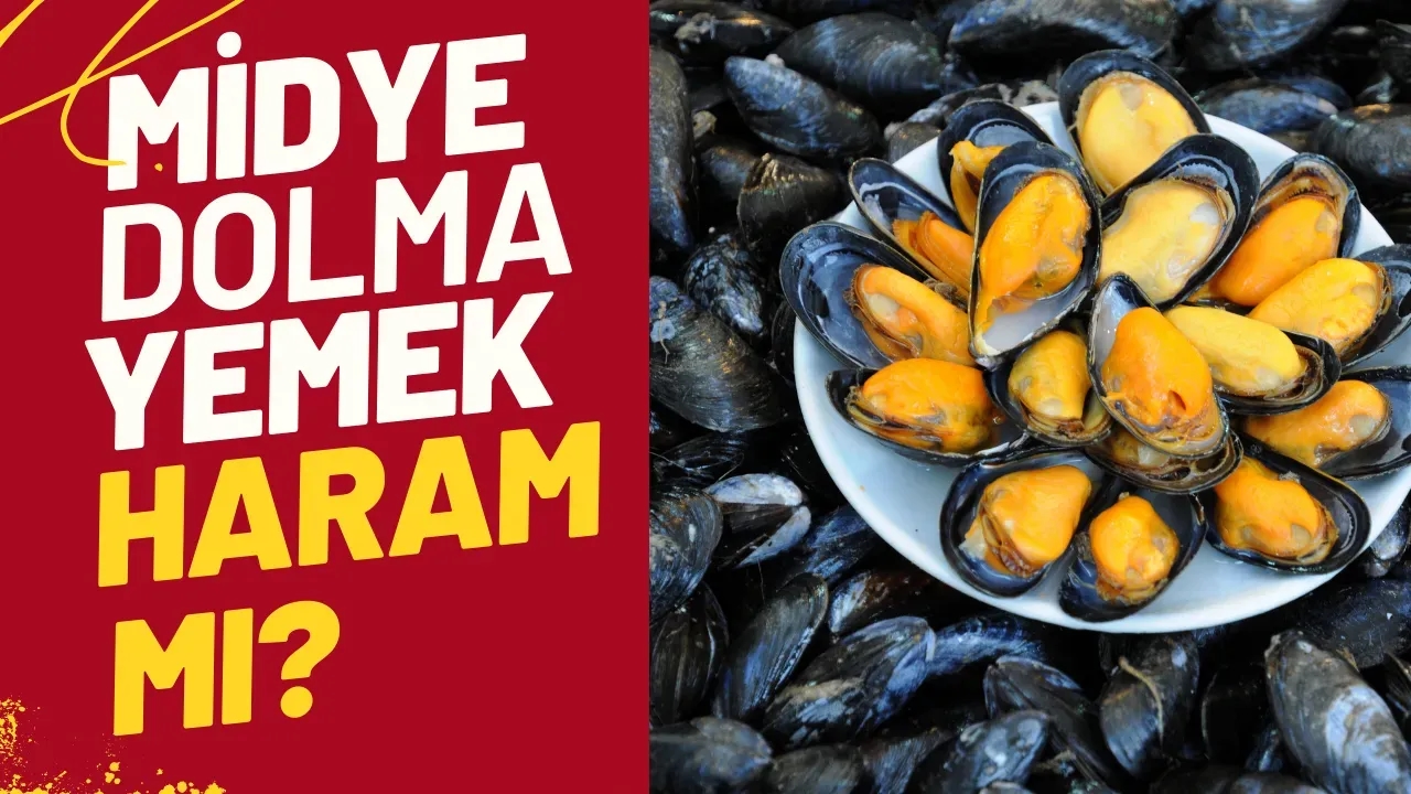 Midye Yemek Haram mı? Diyanet'ten Açıklama En Doğru Bilgi
