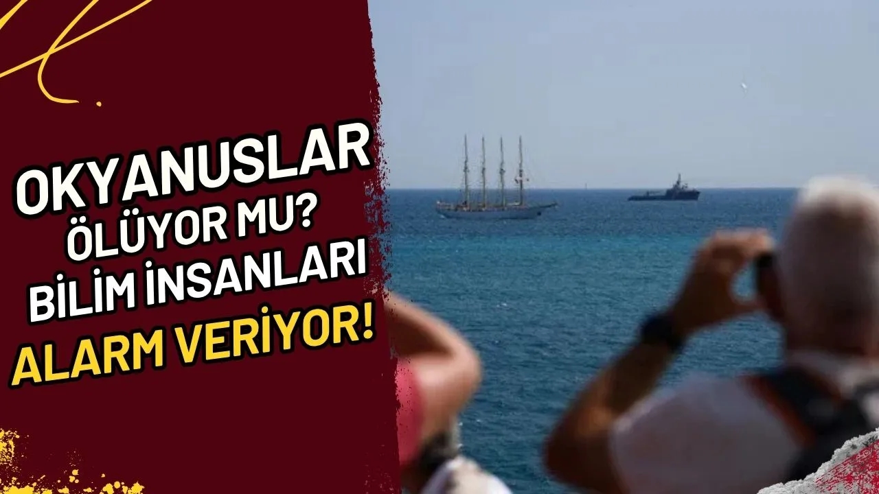 Okyanuslar Ölüyor mu? Bilim İnsanları Alarm Veriyor!
