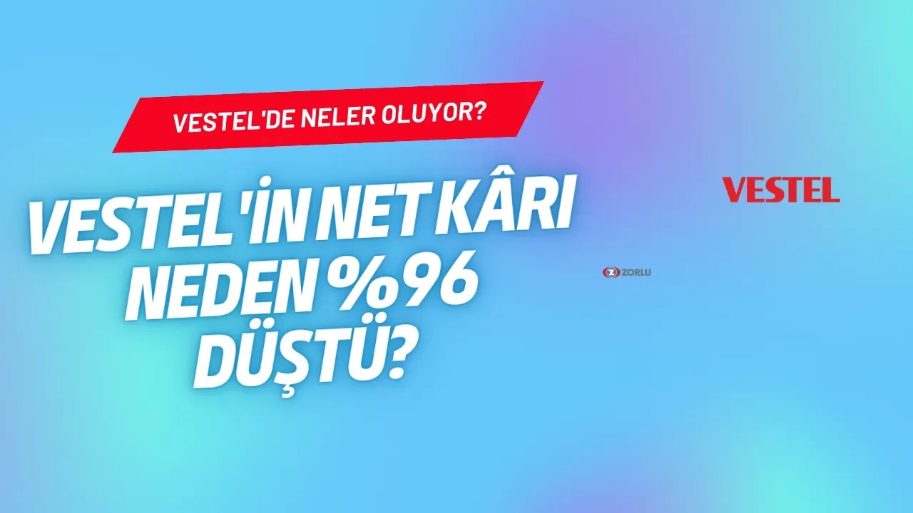 Vestel'de Neler Oluyor? Şok Düşüş ve Kredi Notunda Çöküş