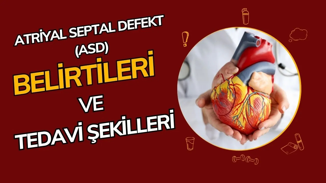 Atriyal Septal Defekt (ASD) Nedir? Kalpteki Deliğin Nedenleri, Belirtileri ve Tedavisi