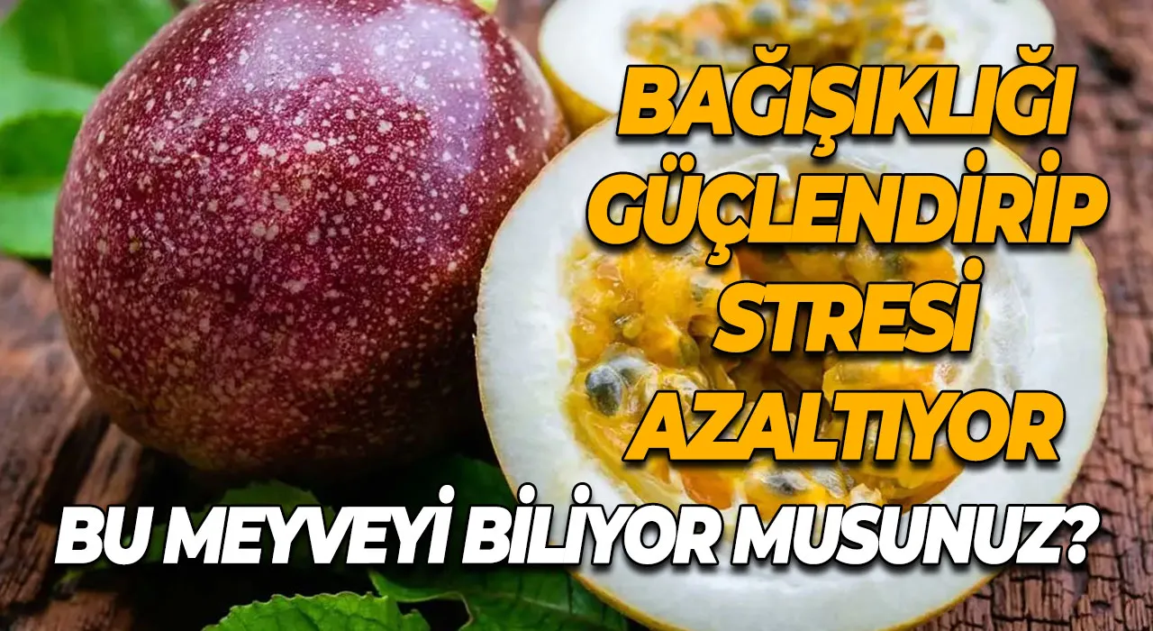 Çarkıfelek Meyvesi Bağışıklık Güçlendirici ve Stres Azaltıcı Etkisiyle Dikkat Çekiyor!