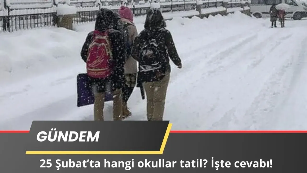 Image for 25 Şubat Hangi İllerde Okullar Tatil? İşte Detaylı Liste!