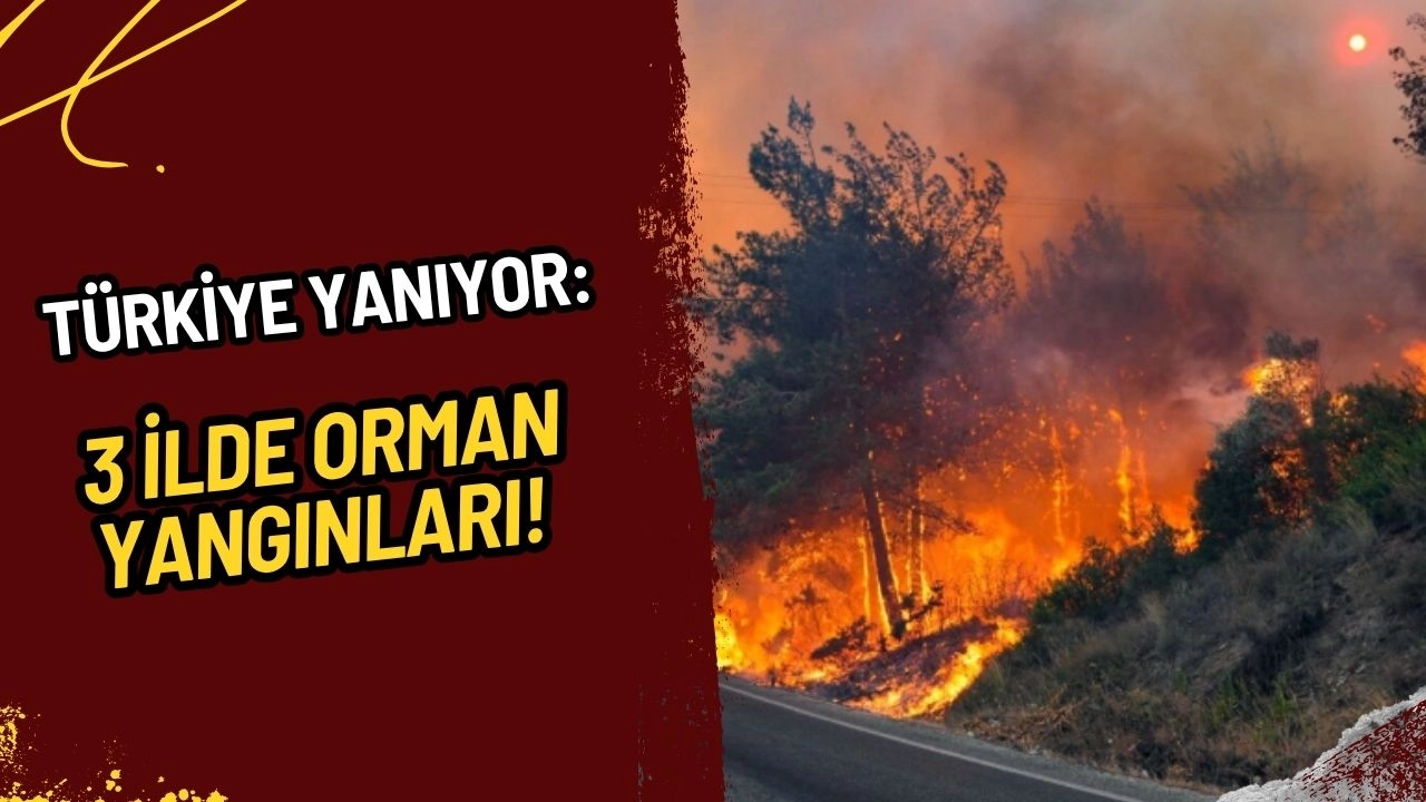 Türkiye Yanıyor: 3 İlde Orman Yangınları! Balıkesir, Uşak ve Manisa'da Büyük Mücadele