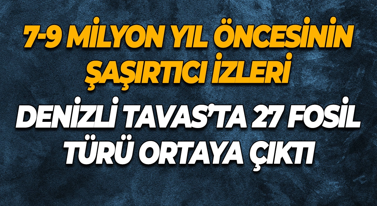 7-9 Milyon Yıl Öncesinin Şaşırtıcı İzleri Denizli Tavas’ta 27 Fosil Türü Ortaya Çıktı