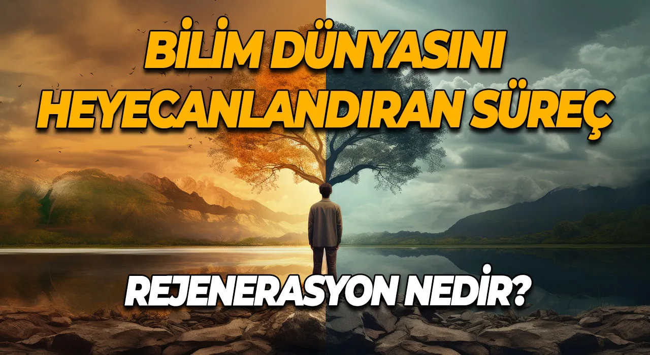 Bilim Dünyasını Heyecanlandıran Süreç Rejenerasyon Nedir ve Hangi Alanlarda Umut Vaat Ediyor?