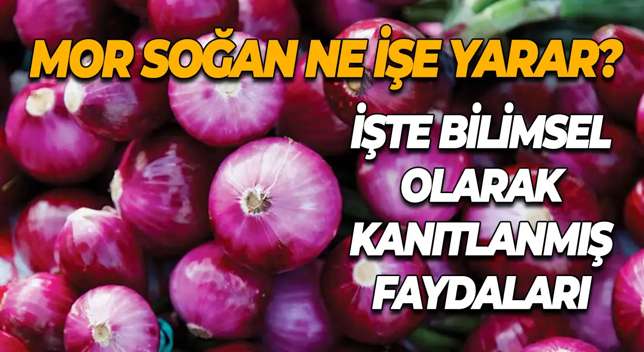 Mor Soğan Ne İşe Yarar? İşte Bilimsel Olarak Kanıtlanmış Faydaları