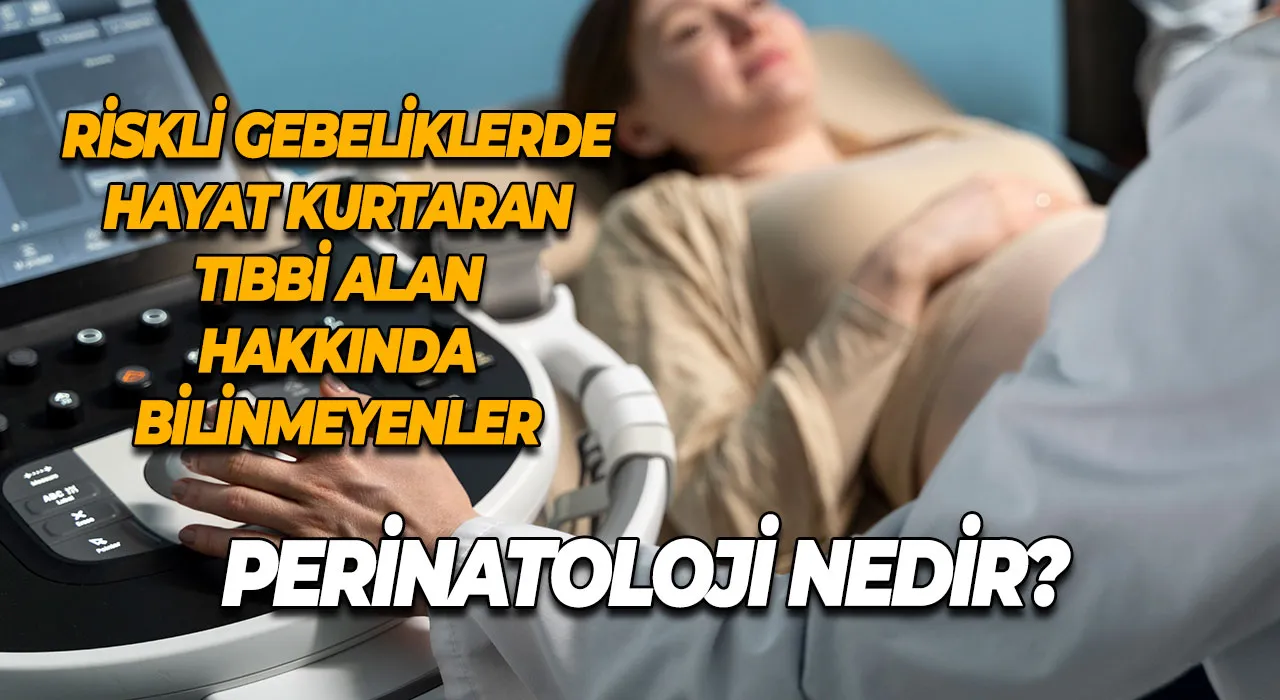 Perinatoloji Nedir? Riskli Gebeliklerde Hayat Kurtaran Tıbbi Alan Hakkında Bilinmeyenler