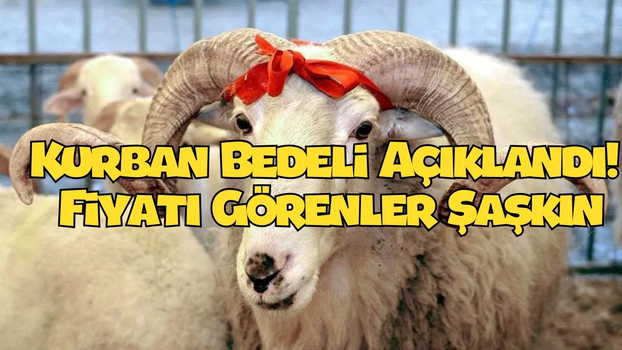Vekaletle Kurban İçin Bu Yıl Rekor Hedef! İşte Detaylar (fiyatlar değişti)