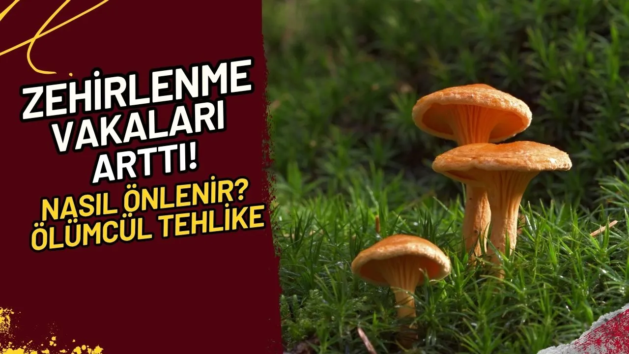Zehirlenme Vakaları Arttı! Nasıl Önlenir? (Ölümcül Tehlike)