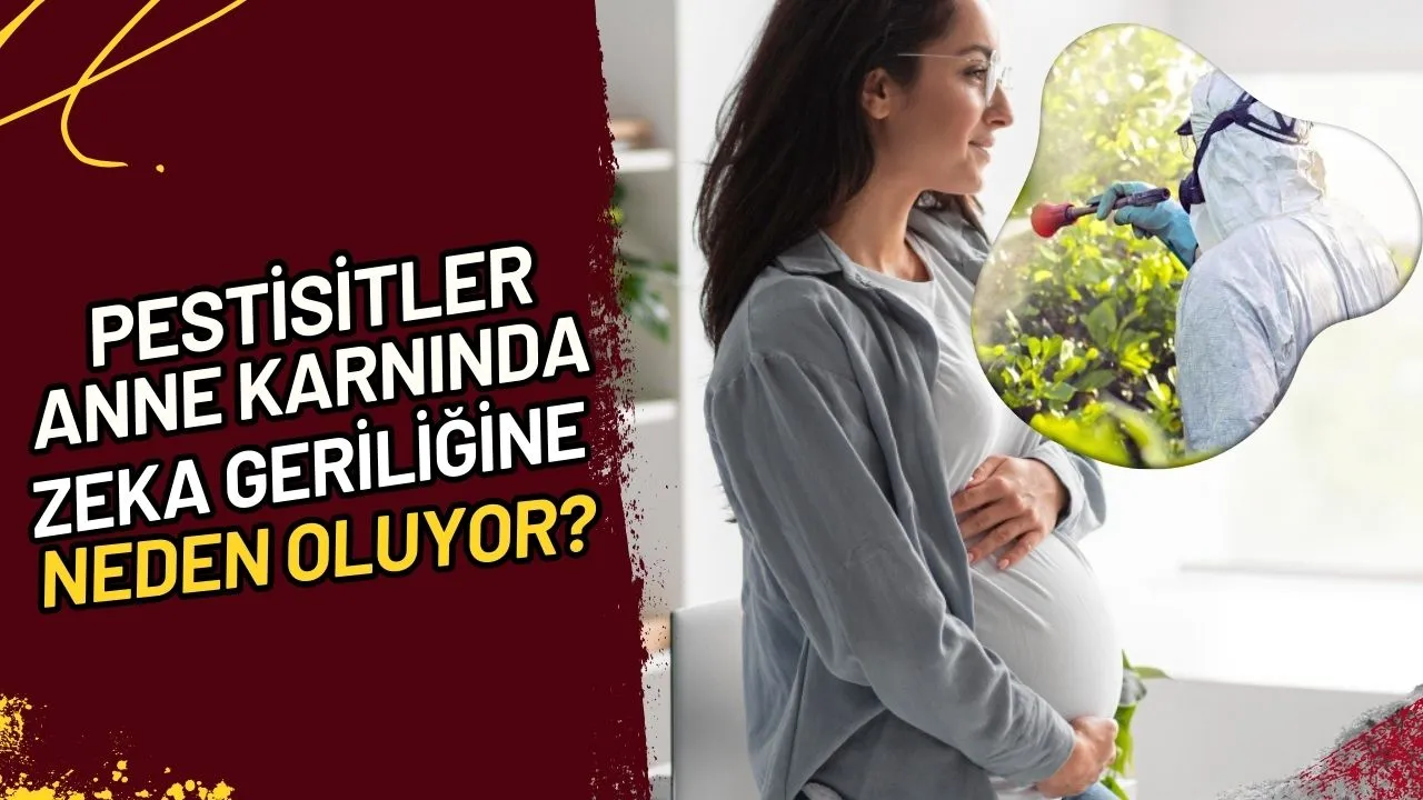 Pestisitler Anne Karnında Zeka Geriliğine Mi Neden Oluyor?