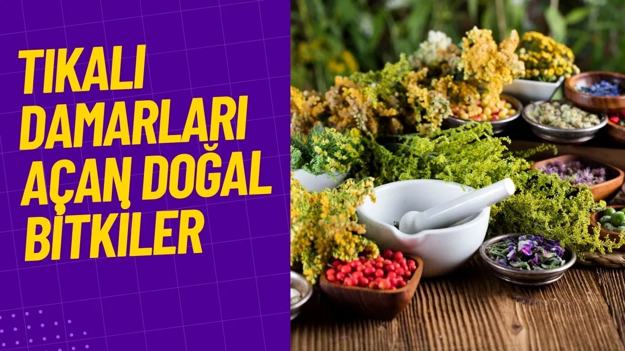 Tıkalı Damarları Açan Doğal Bitkiler İle Kalbinize İyi Bakın