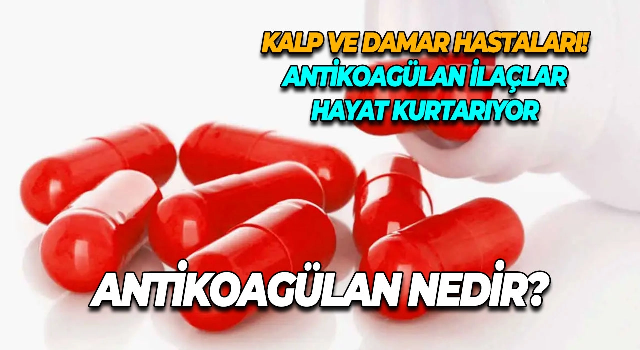 Antikoagülan Nedir? Kalp ve Damar Hastaları! Antikoagülan İlaçlar Hayat Kurtarıyor