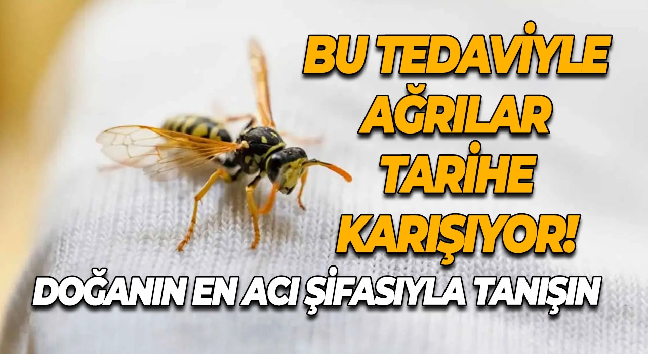 Arı Zehri Tedavisi: Doğanın Acı Şifası Ağrılara Son Veriyor!