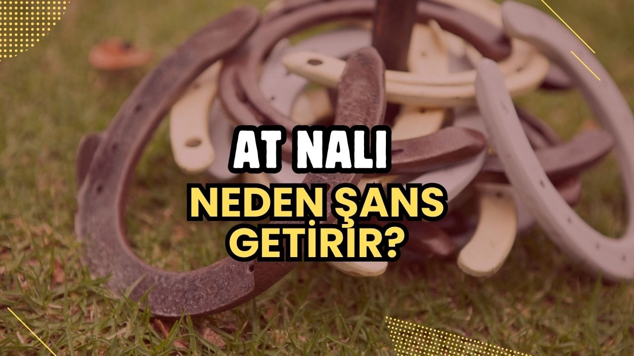 At Nalı Neden Şans Getirir? Kökeni, İnanışları ve Doğru Asma Yöntemi
