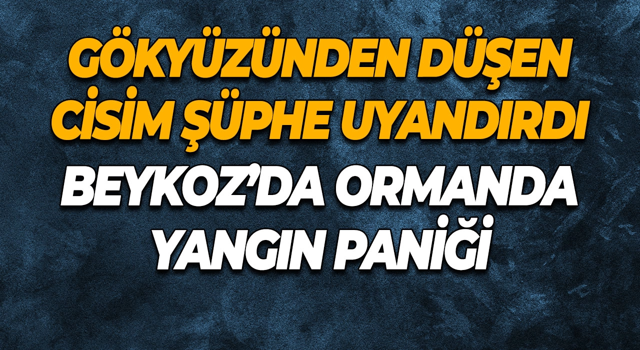 Beykoz’da Ormanda Yangın Paniği Gökyüzünden Düşen Cisim Şüphe Uyandırdı