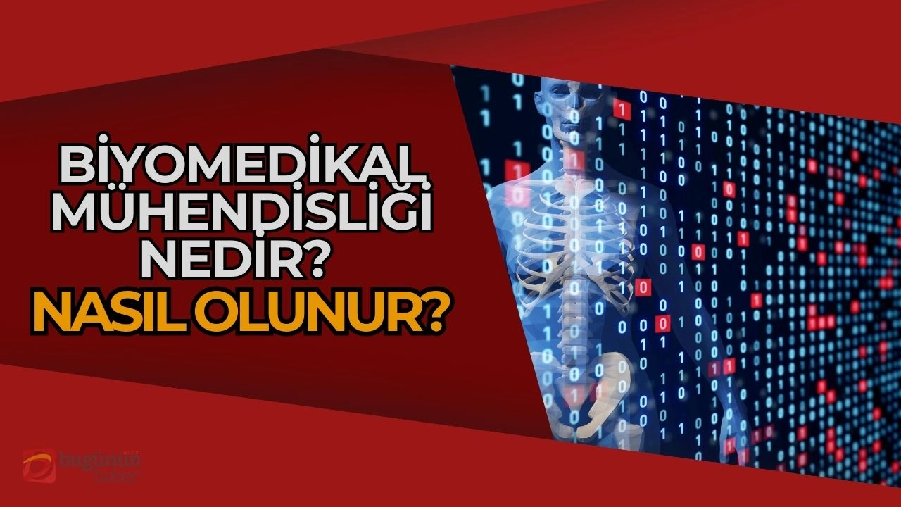 Biyomedikal Mühendisi Nedir? Sağlık ve Teknolojinin Kesşim Noktasında Bir Kariyer 