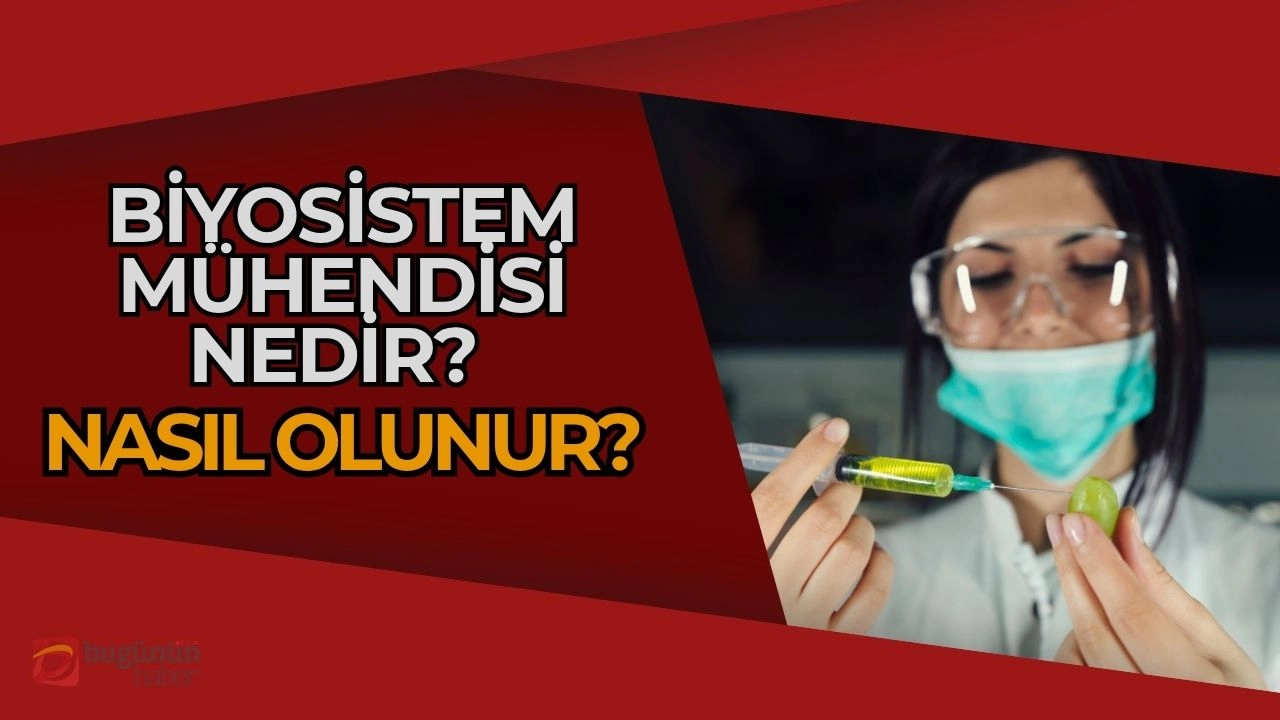 Biyosistem Mühendisi Nedir? Sürdürülebilir Geleceğin Mimarı Bir Kariyer!