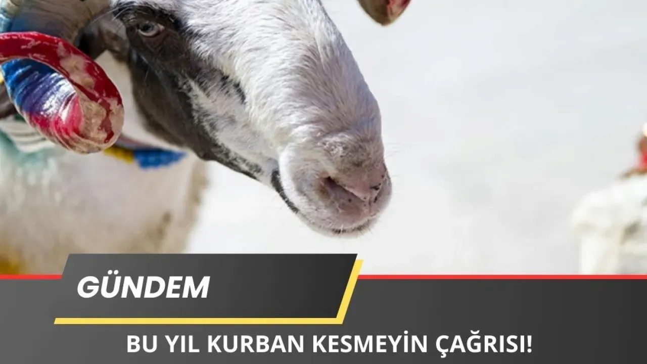 Image for 'Bu Yıl Kurban Kesmeyin" Çağrısı Yapıldı!