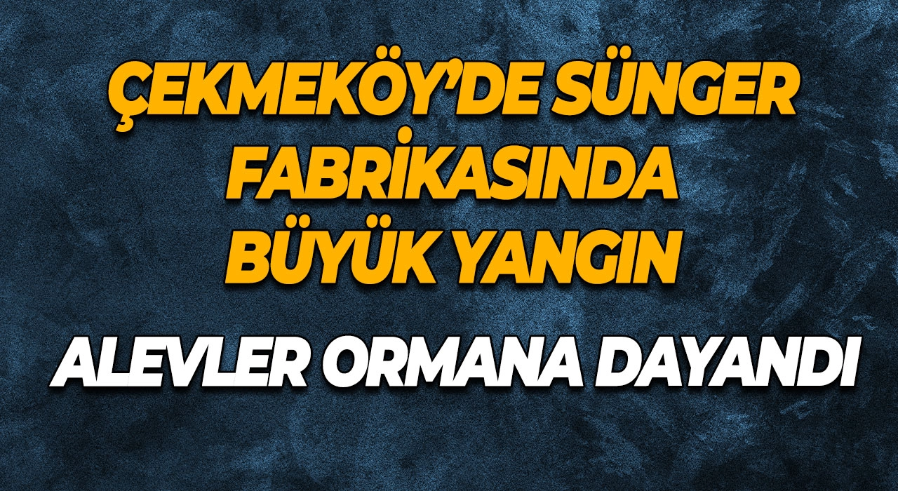 Çekmeköy’de sünger fabrikasında büyük yangın Alevler ormana dayandı