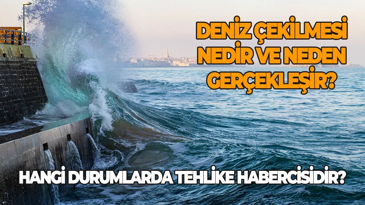 Image for Deniz Çekilmesi nedir ve neden gerçekleşir? Deniz çekilmesi hangi durumlarda tehlike habercisidir?