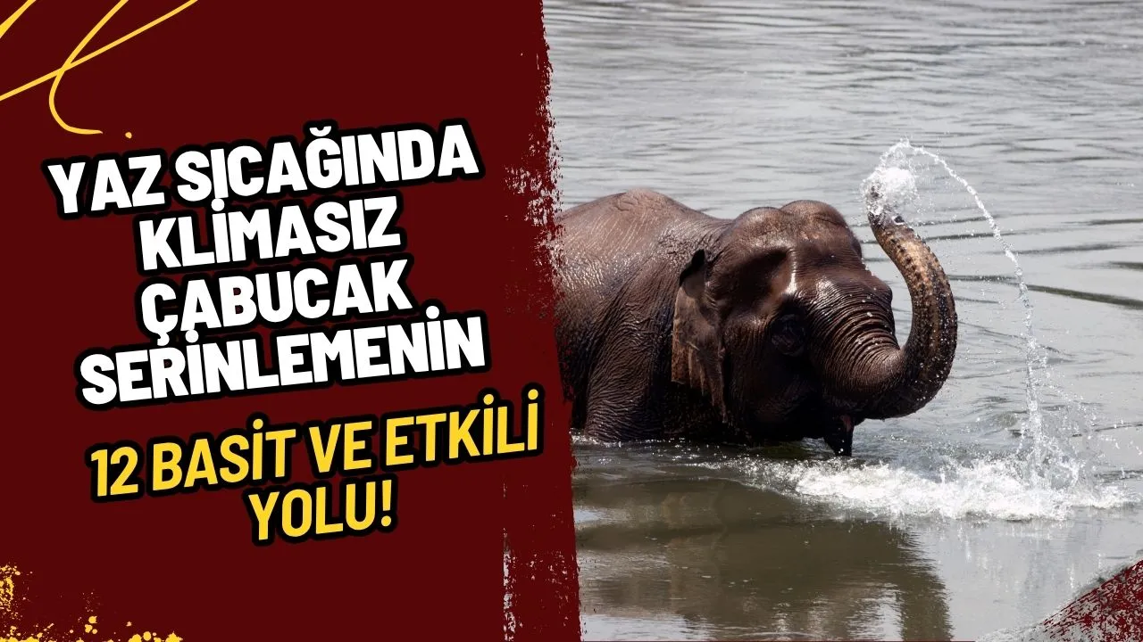 Yaz Sıcağında Klimasız Çabucak Serinlemenin 12 Basit ve Etkili Yolu!