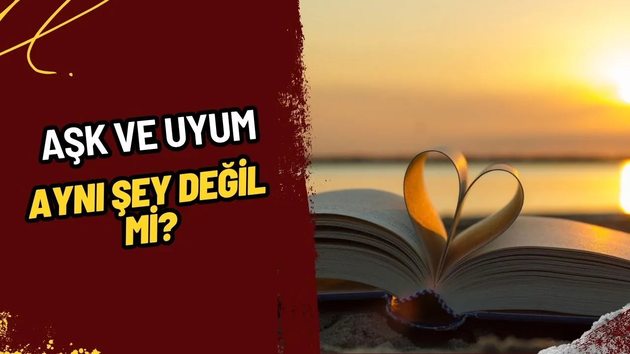 Aşk ve Uyum Aynı Şey Değil mi? İlişkilerdeki En Büyük Yanılgılardan Biri