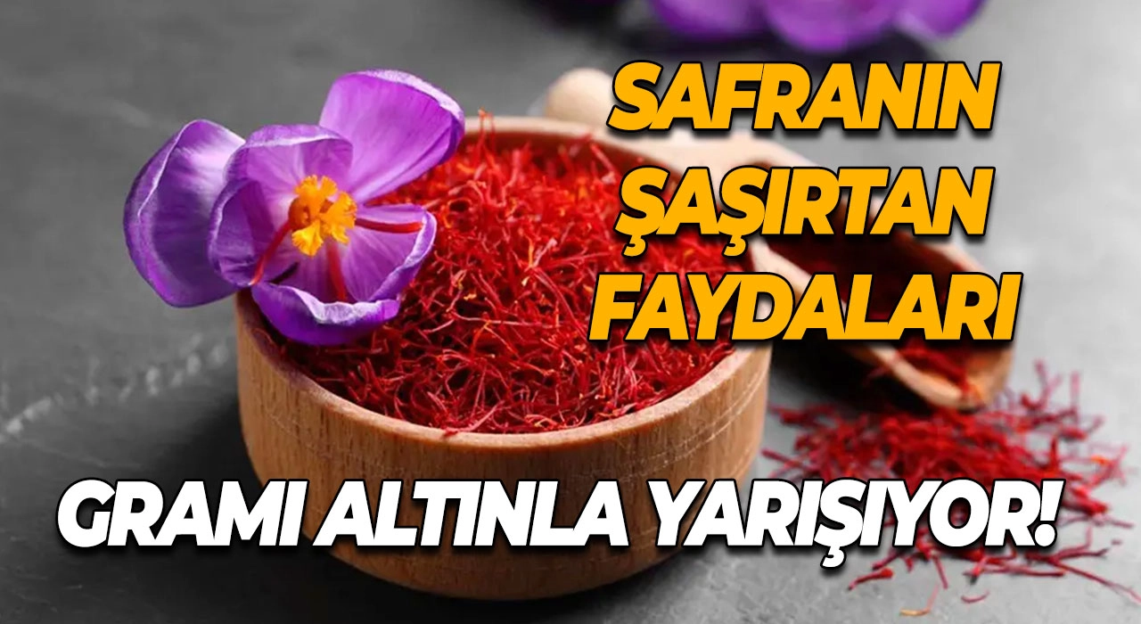 Gramı Altınla Yarışıyor! Safranın Şaşırtan Faydaları