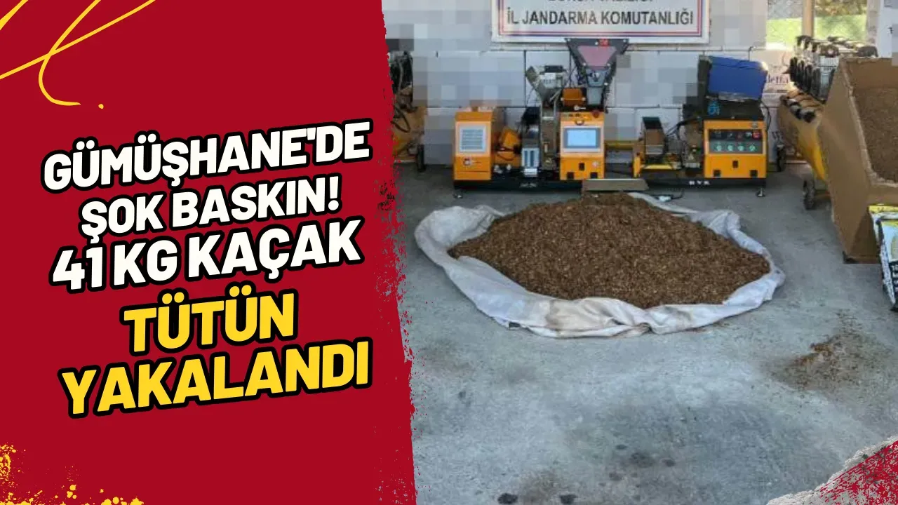 Image for Gümüşhane'de Şok Baskın! 41 KG Kaçak Tütün Yakalandı