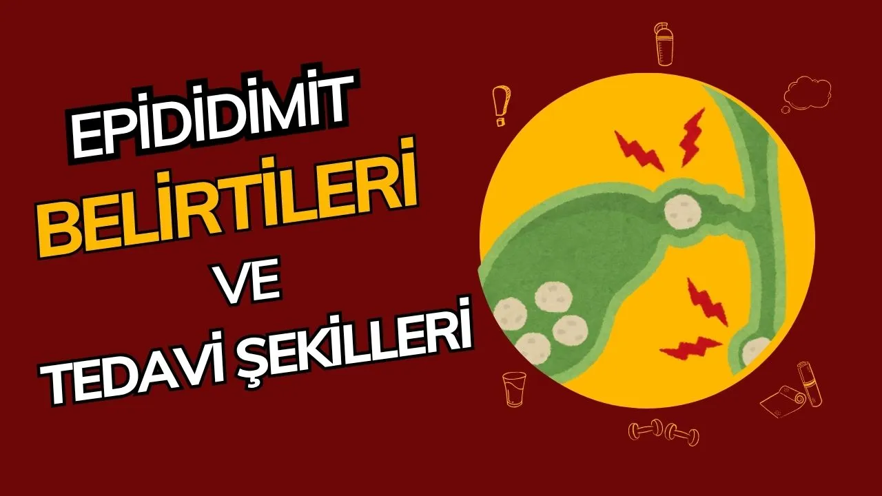 Epididimit (Meni Kanalı İltihabı): Erkeklerde Ağrılı Bir Enfeksiyon ve Tedavisi