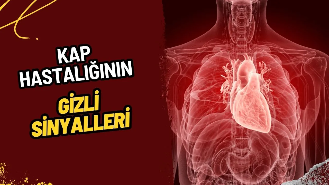 Kalp Hastalığının Gizli Sinyalleri Cildinizdeki 7 Uyarı İşaretine Dikkat!