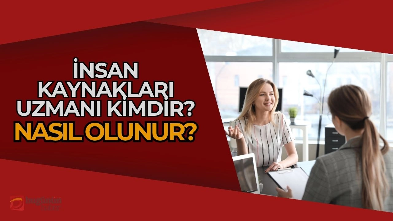 İnsan Kaynakları Uzmanı Nedir? Nasıl Olunur? 2025 Rehberi