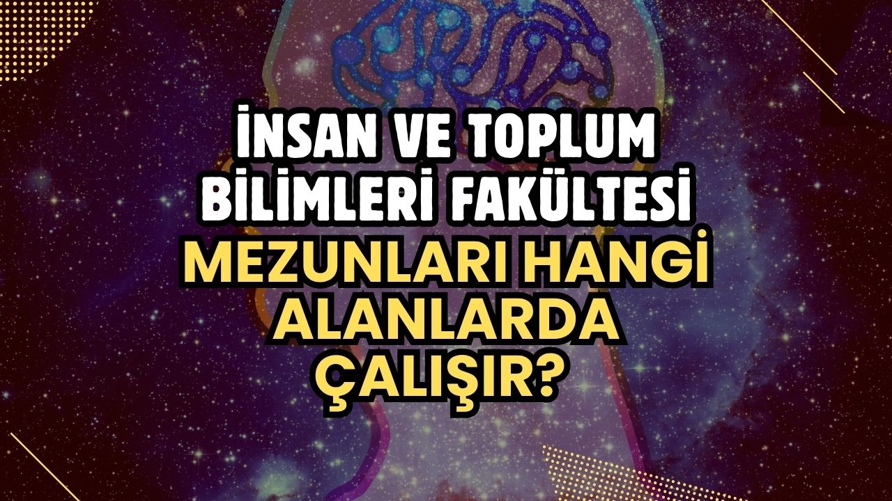 İnsan ve Toplum Bilimleri Fakültesi Nedir, Mezunları Hangi Alanlarda Çalışır?