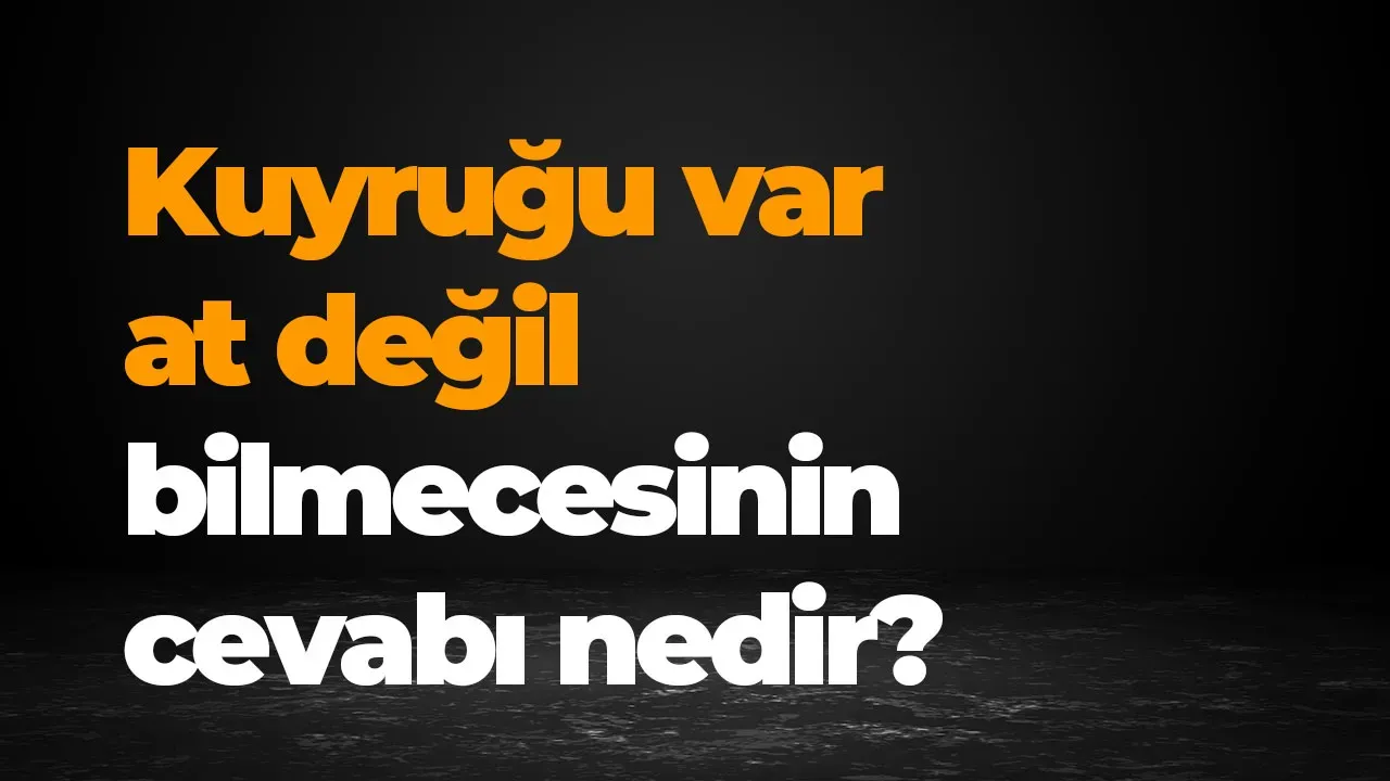 Image for Kuyruğu var at değil bilmecesinin cevabı nedir? İşte yanıtı!