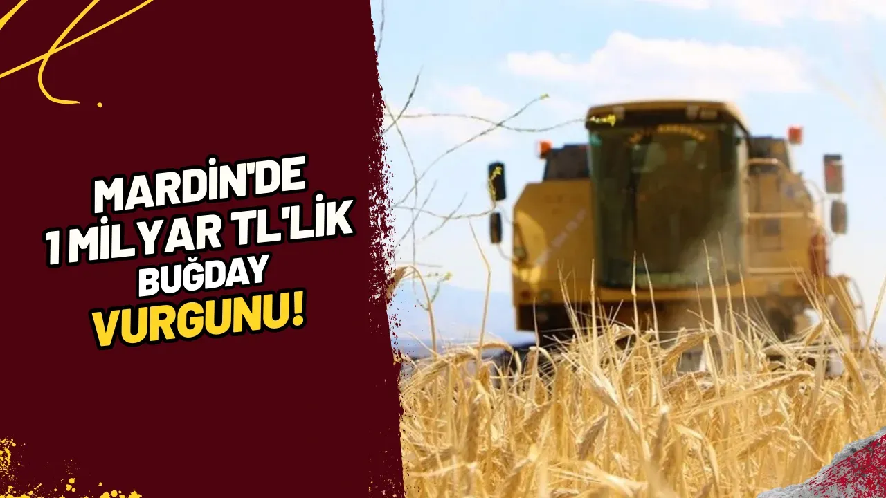 Image for Mardin'de 1 Milyar TL'lik Buğday Vurgunu!