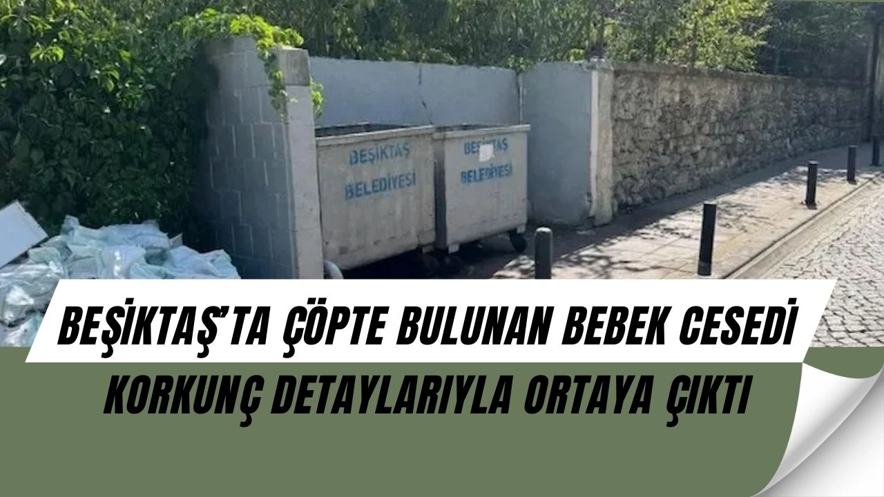 Beşiktaş’ta Dehşet! Çöpte Yanmış ve Kesiklerle Bulunan Bebek Cesedi Herkesi Şoke Etti