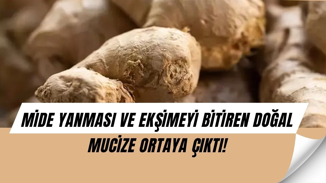 Mide Yanması Tarih Oluyor! O Baharat Tüm Şikayetleri Bitiriyor
