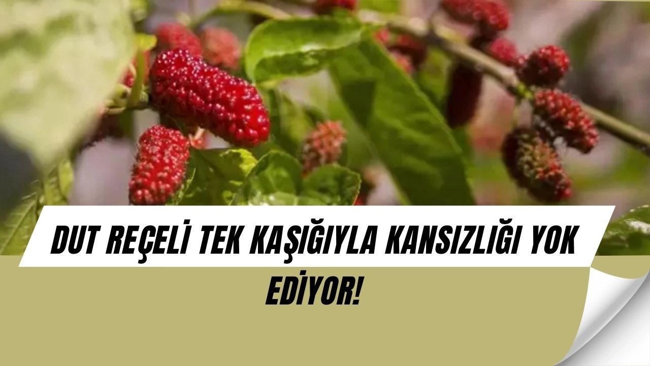 Tek Kaşığıyla Demir Deposu! Dut Reçeli Kansızlığa Karşı Doğal Çözüm