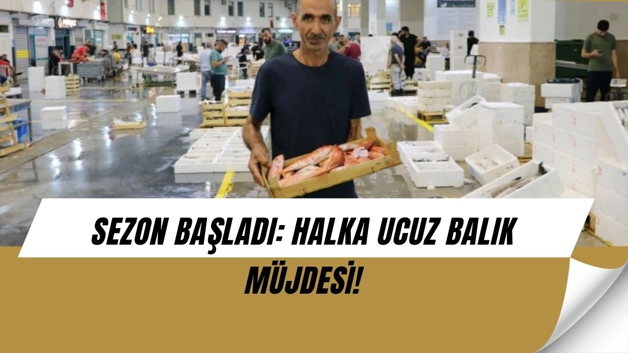 Av Yasağı Kalktı: Tezgahlar Balıkla Doldu, Fiyatlar Şaşırttı!