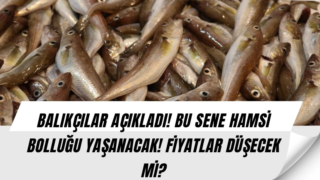 Müjde! Balık Fiyatları Dibini Gördü! Uzmanından O Balık İçin Flaş Tahmin!