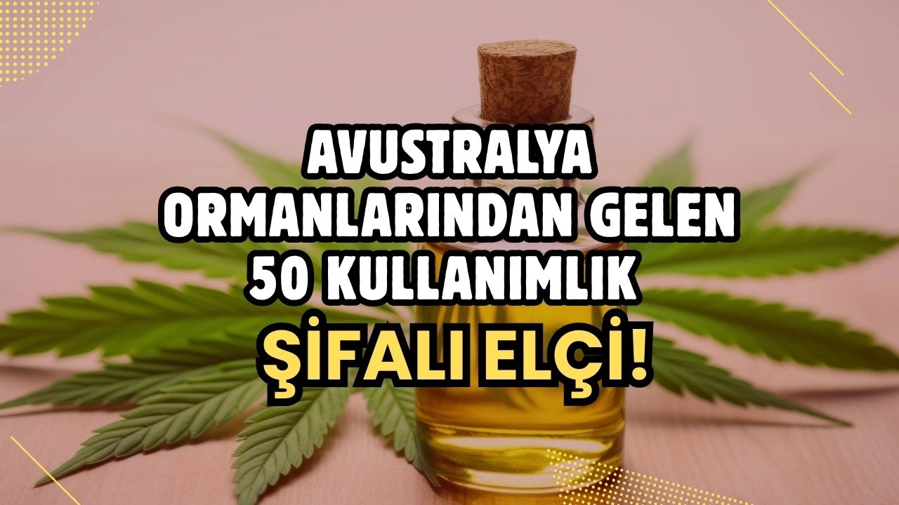 Nioli Yağı! Avustralya Ormanlarından Gelen Çok Yönlü Şifalı Mucize!