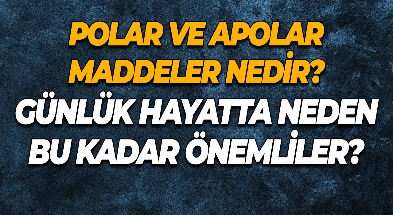 Polar ve Apolar Maddeler Nedir? Günlük Hayatta Neden Bu Kadar Önemliler?